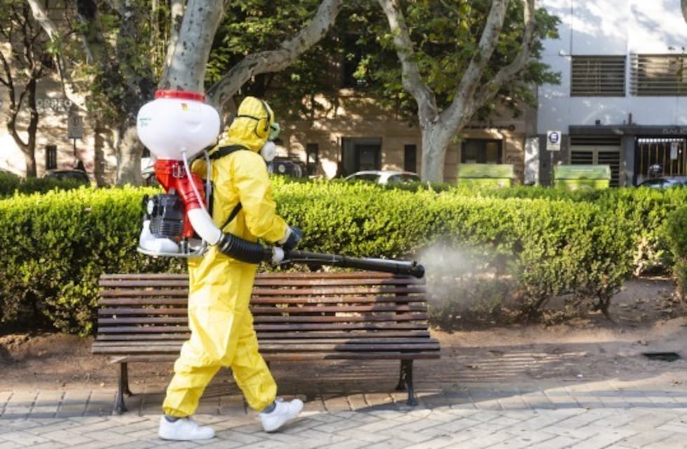 Confirman 1.342 casos de dengue en Rosario en lo que va del año