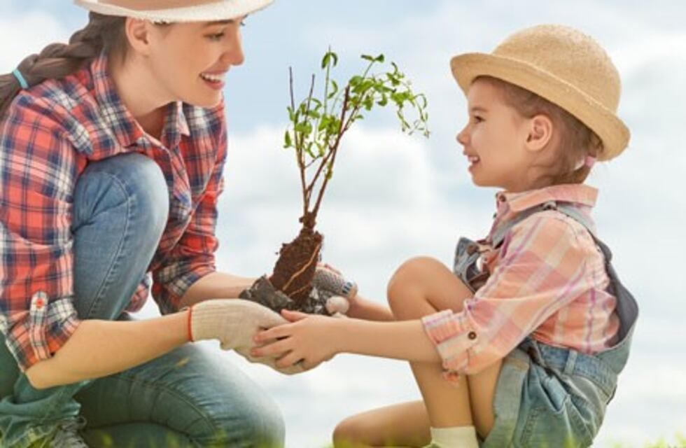 Secretos antiestrés para tus plantas