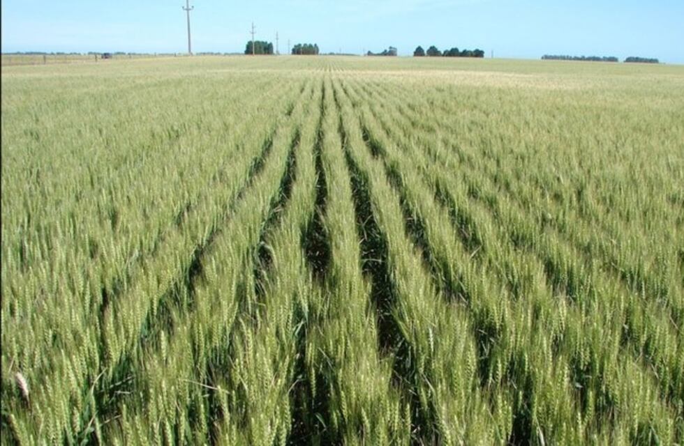 Domingo soleado en Azul