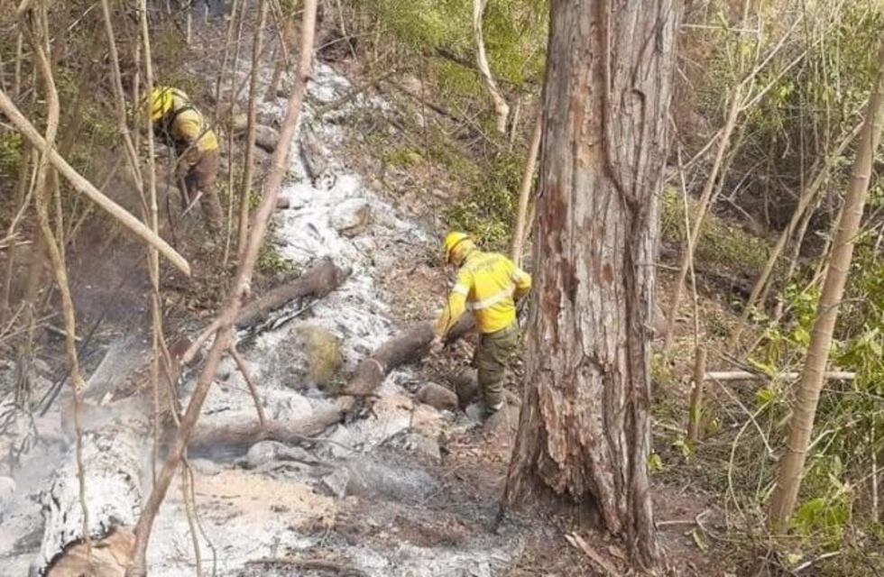El fuego continúa consumiendo miles de hectáreas en las Yungas jujeñas