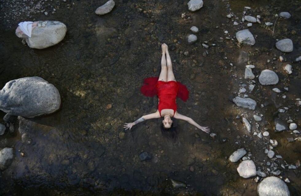 Fotografía: Vida / Muerte / Vida renace este viernes