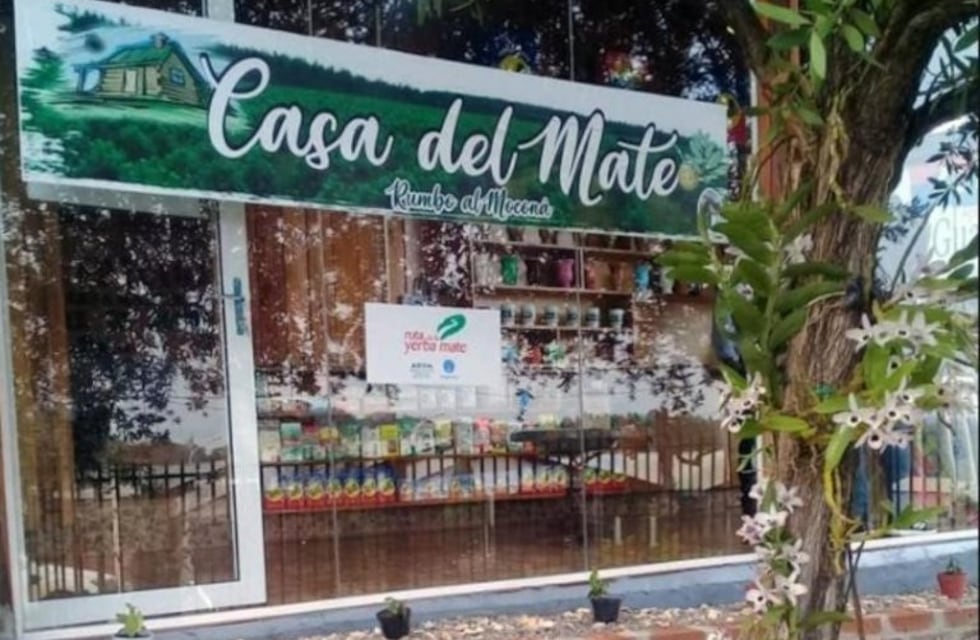 Este viernes el INYM estará en Alicia inscribiendo a yerbales y productores no registrados