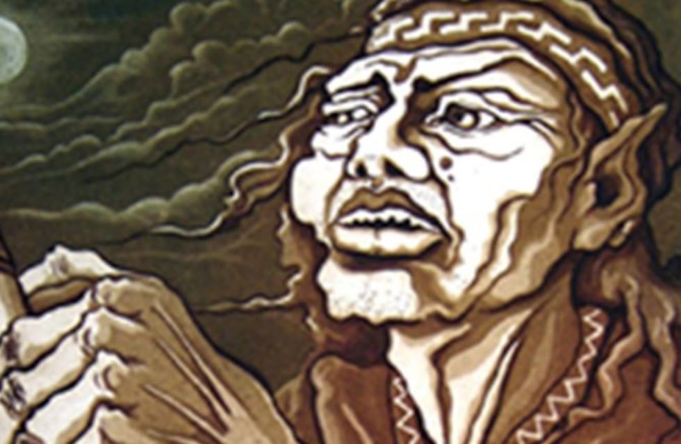 Historias y leyendas de Salta: "No caces vicuñas con armas de fuego, Coquena se enoja, me dijo un pastor"