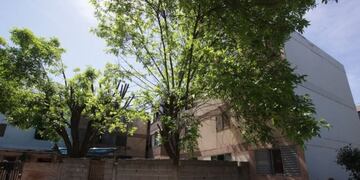 El supuesto abusador y su pareja, amiga de la denunciante, tienen la misma discapacidad que la víctima\u002E Foto: El Diario de la República