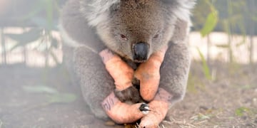 REUTERS/Tracey Nearmy