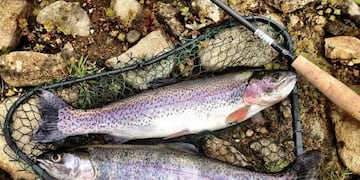 Fiesta Nacional de la Trucha\u002E