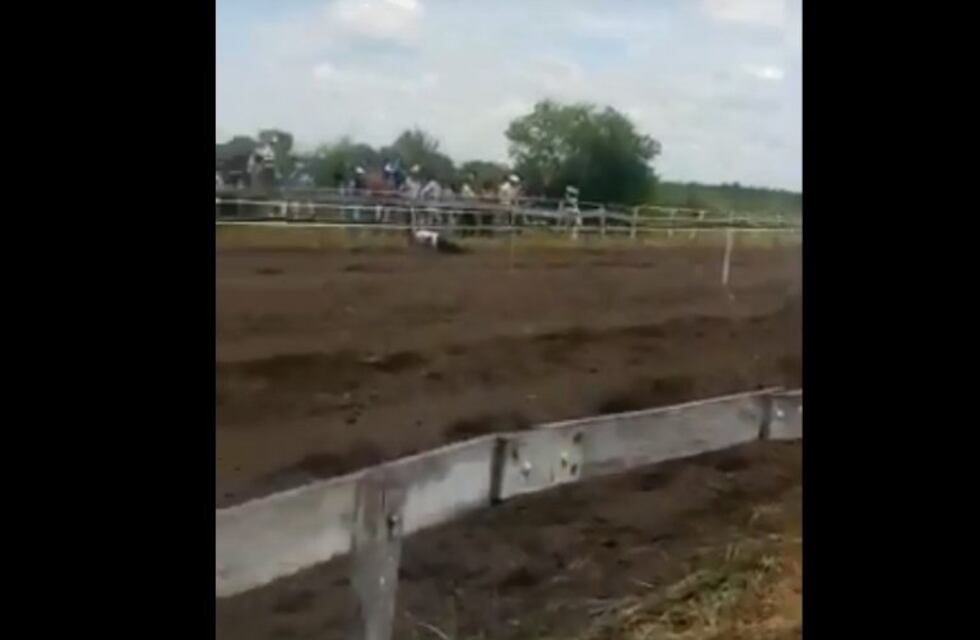 Ingresó a la pista para festejar y murió atropellado por un caballo de carrera