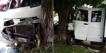 Insólito robo de un flete: los perros del dueño lo atacaron y chocó contra un árbol (Foto: 0223)