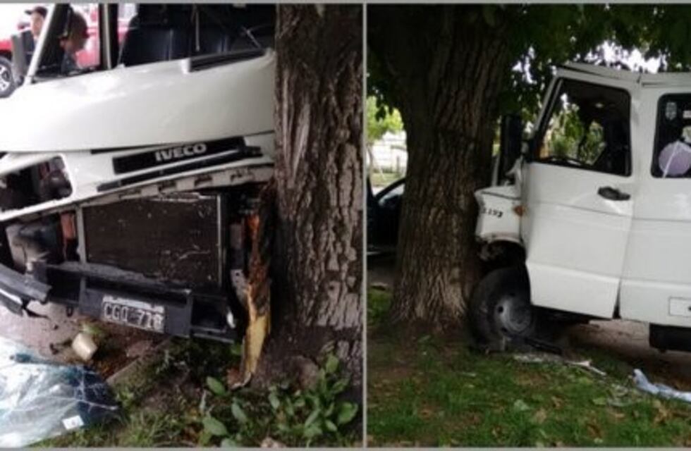 Insólito robo de un flete: los perros del dueño lo atacaron y chocó contra un árbol