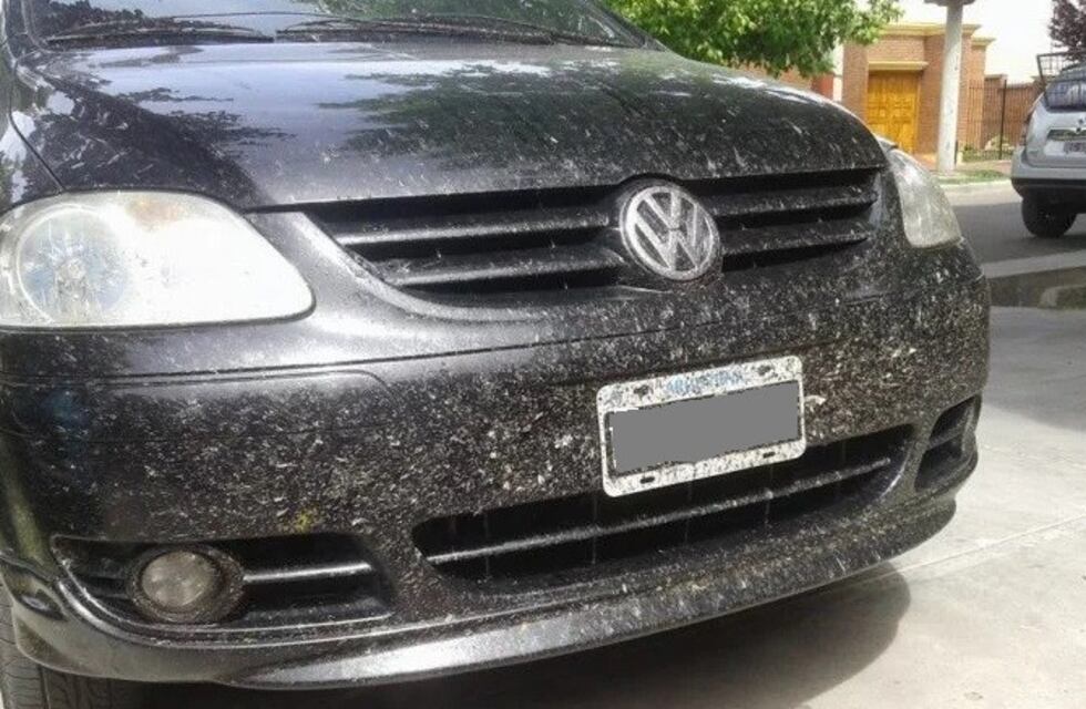 Se entregó el conductor que atropelló y escapó en San Rafael