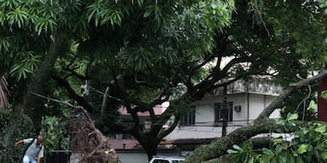 Al menos cinco muertos por un temporal en Río de Janeiro\u002E (REUTERS)