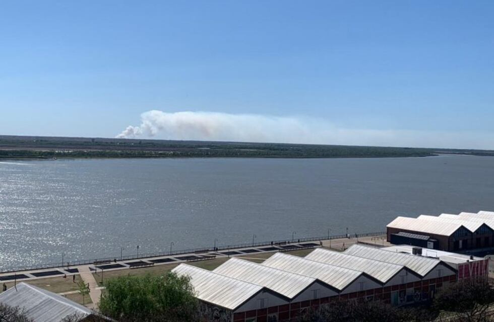 Incendios provocaron "mortandad casi total" de la fauna de las islas
