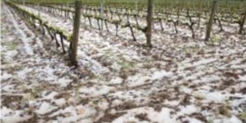 El Fondo Compensador Agrícola comenzó a pagar a los contratistas