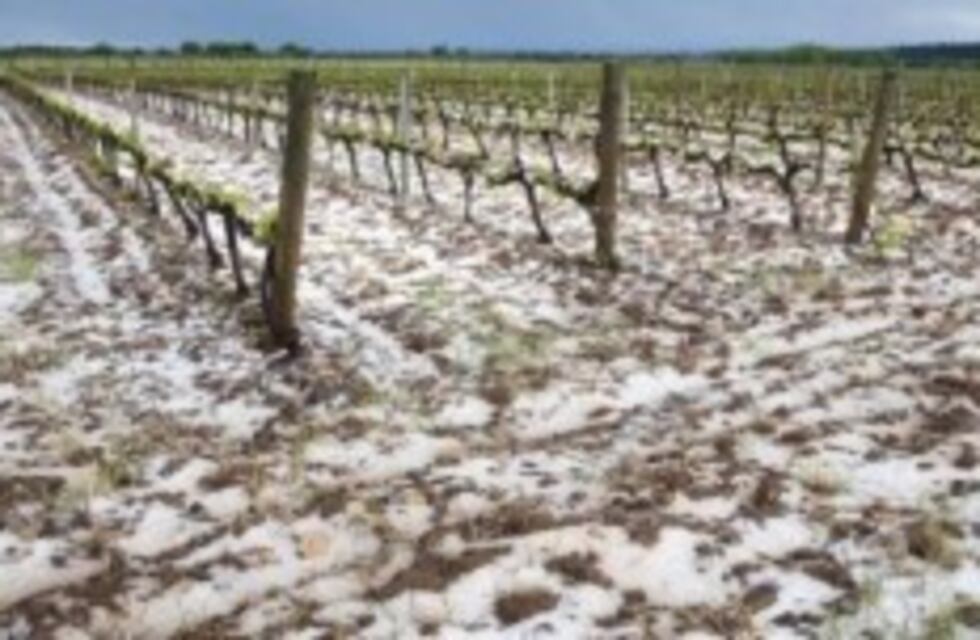 El Fondo Compensador Agrícola comenzó a pagar a los contratistas