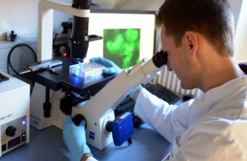 Proponen crear el Instituto Provincial Oncológico de Mendoza