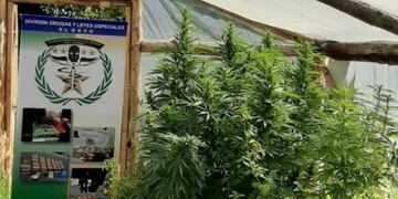 Allanamiento El Hoyo