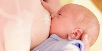 A fines de 2019, Neuquén habrá producido unos 800 litros de leche humana pasteurizada