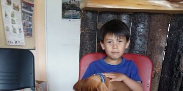 El Chaltén: exitosa jornada de vacunación y chipeo de mascotas