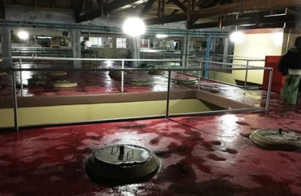 Impresionante derrame de vino en una planta de Fecovita