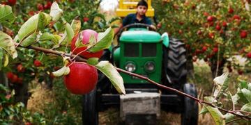 Fruticultores esperan la respuesta de Arabela Carreras sobre pautas de comercialización