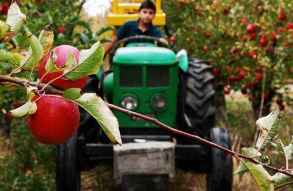 Fruticultores esperan la respuesta de Arabela Carreras sobre pautas de comercialización