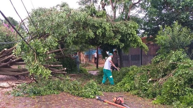 Organizan una “Cruzada Solidaria” para ayudar a familias afectadas por el temporal en Eldorado.