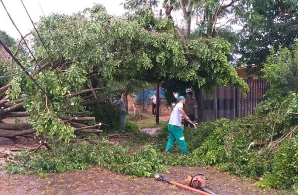 Organizan una “Cruzada Solidaria” para ayudar a familias afectadas por el temporal en Eldorado