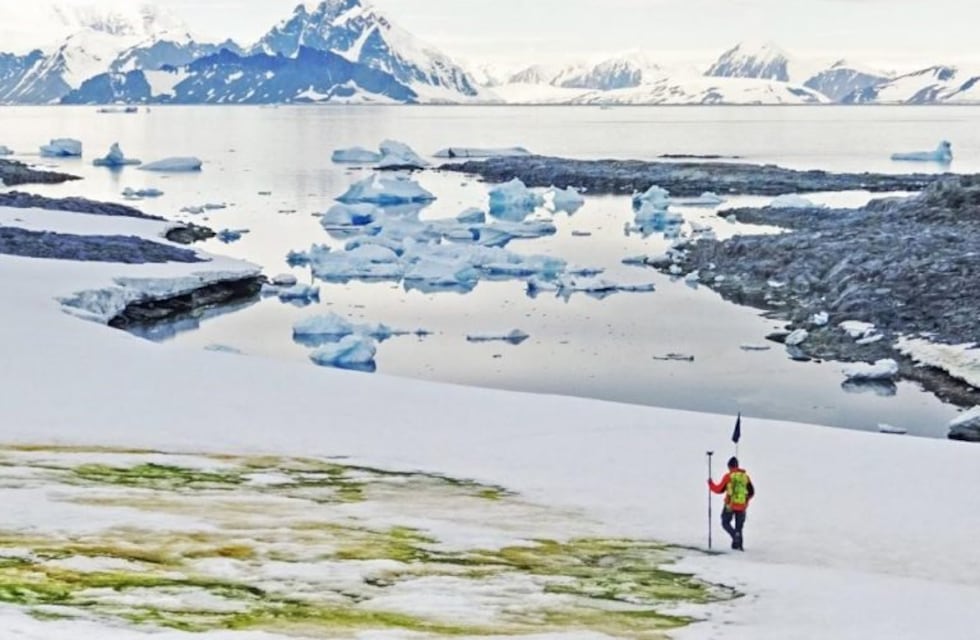Antártida: Desde el espacio se ve el avance de "la nieve verde"