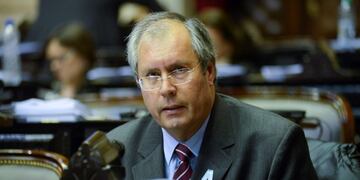 (Nation's Honorable Chamber of Deputies, HCDN via AP )