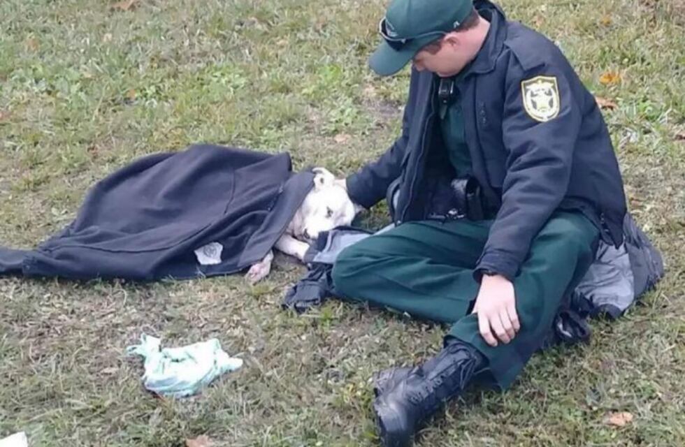 Viral: la emotiva imagen de un policía que cubre con su abrigo a una perrita atropellada