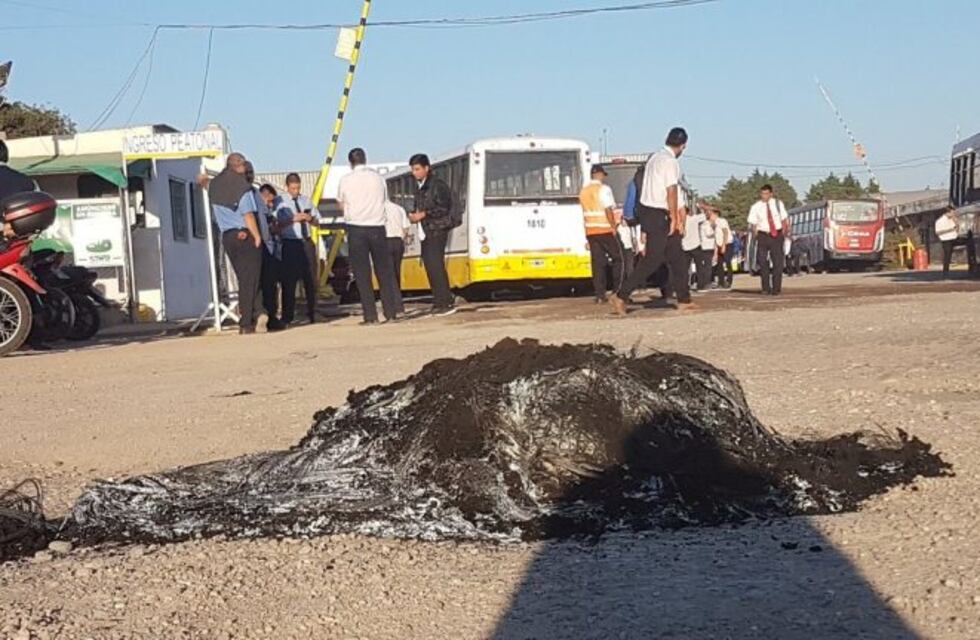 Urgente: levantaron el bloqueo y vuelve a la normalidad el transporte público