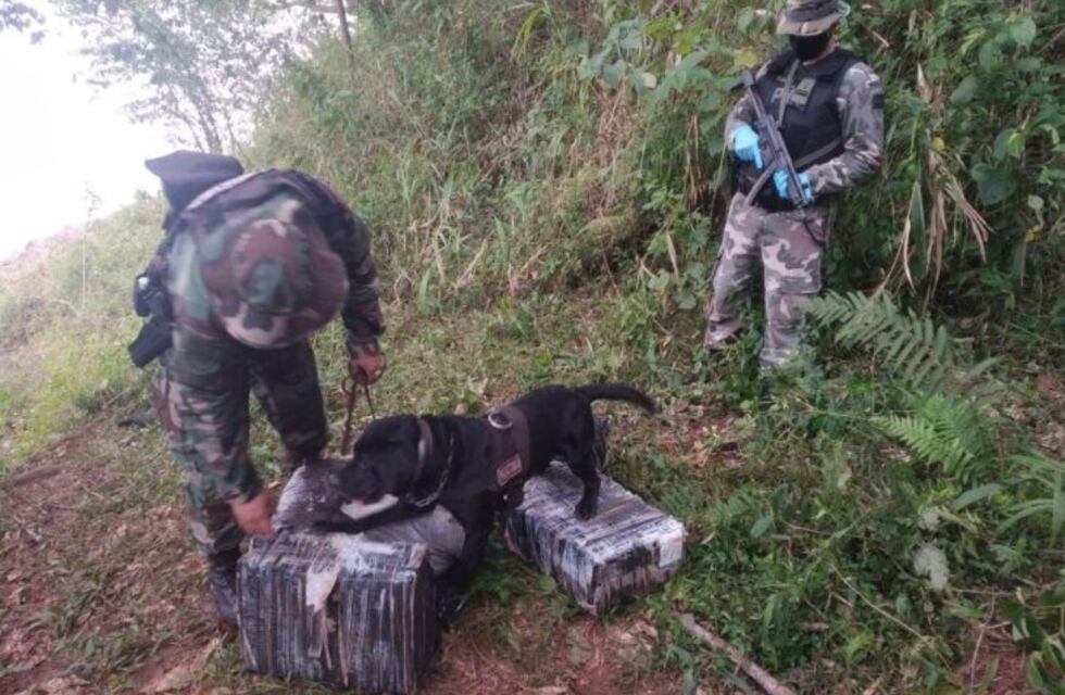 Efectivos de la Prefectura secuestraron cerca de 80 kilos de cannabis en Puerto Rico