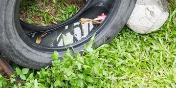 Campaña de prevención contra el dengue, zika y Chikungunya