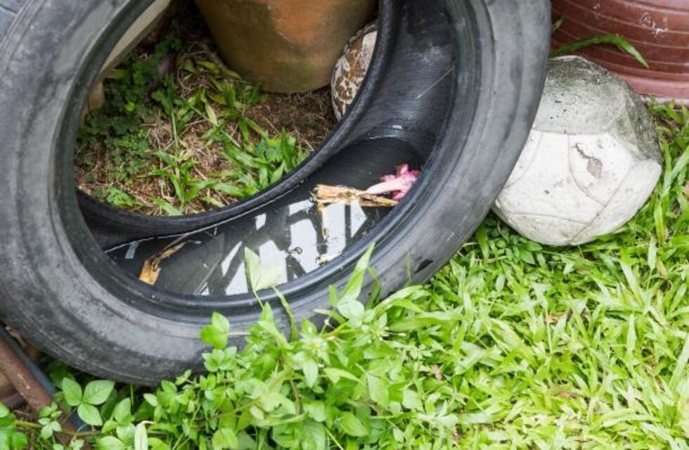 Continúan los operativos de prevención de chikungunya, dengue y zika