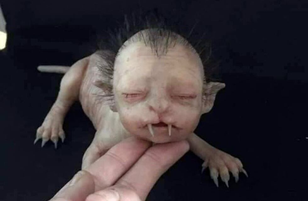 Horror en Malasia: una extraña criatura causa pánico en la población