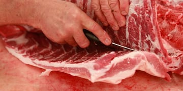 fiebre gripe del cerdo\r\n\r\n\r\nUS-MISCONCEPTION - ELMA, IA - APRIL 29: Dean Folkers processes a pig for a customer at the Elma Locker and Grocery April 29, 2009 in Elma, Iowa\u002E Hog farmers who have been battered by rising feed prices are now faced with plummeting hog prices driven in part by misconceptions about the relationship of Swine Flu to eating pork and recent import bans on raw U\u002ES\u002E pork by some countries\u002E Scott Olson/Getty Images/AFP eeuu alerta mundial por brote epidemia fiebre gripe porcina frigorifico con cortes carne de cerdo cerdos