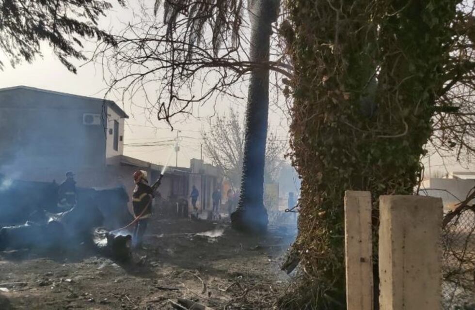El Zonda dejó a su paso varios focos de incendios, árboles y postes de la luz caídos