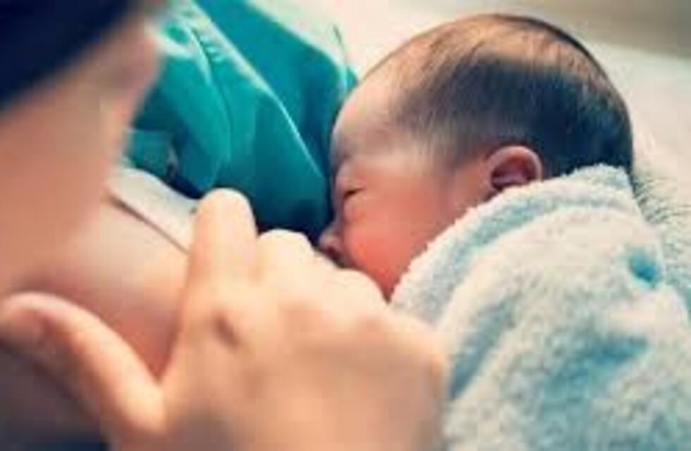 Encuentro virtual sobre lactancia materna