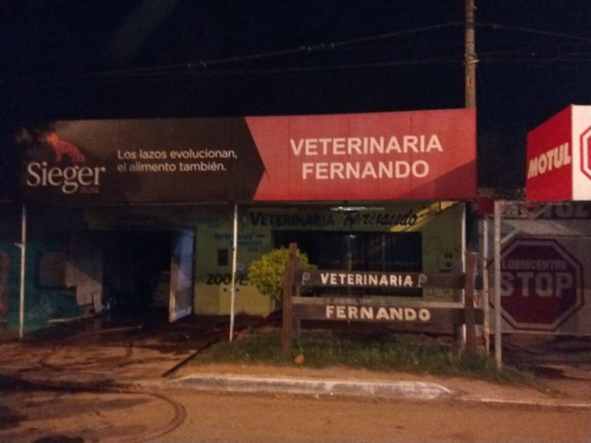 Voraz incendio en una veterinaria termina con gatitos siendo rescatados por bomberos\u002E (Diario Chaco)\u002E
