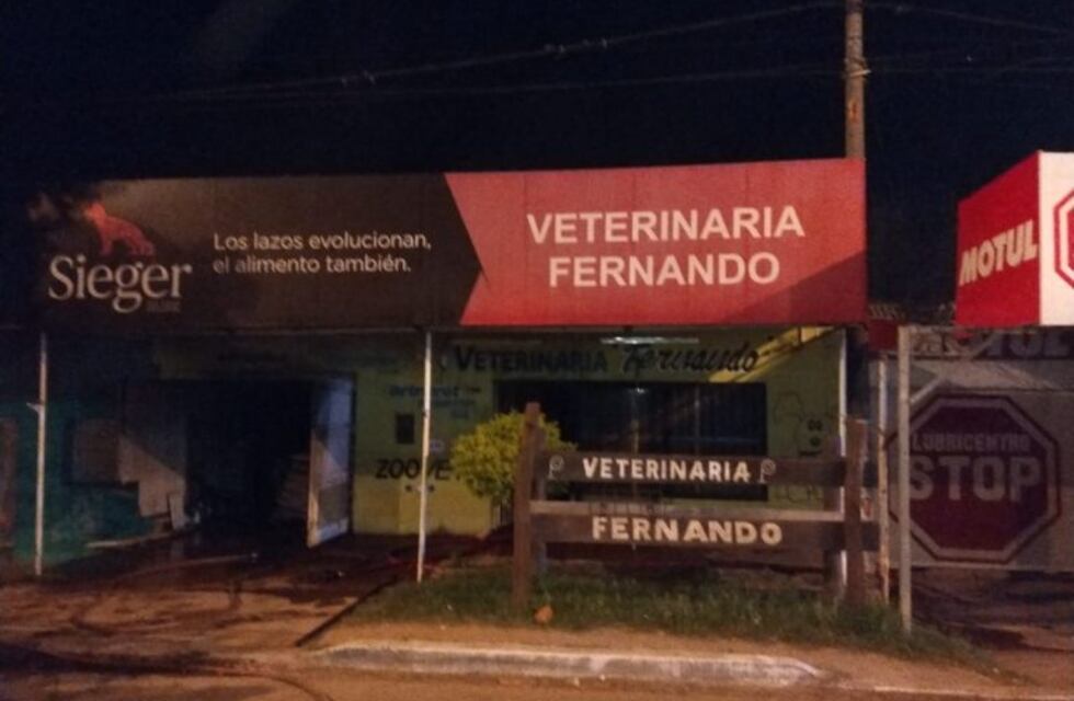 Voraz incendio en una veterinaria termina con gatitos siendo rescatados por bomberos