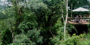 selva misionera 1