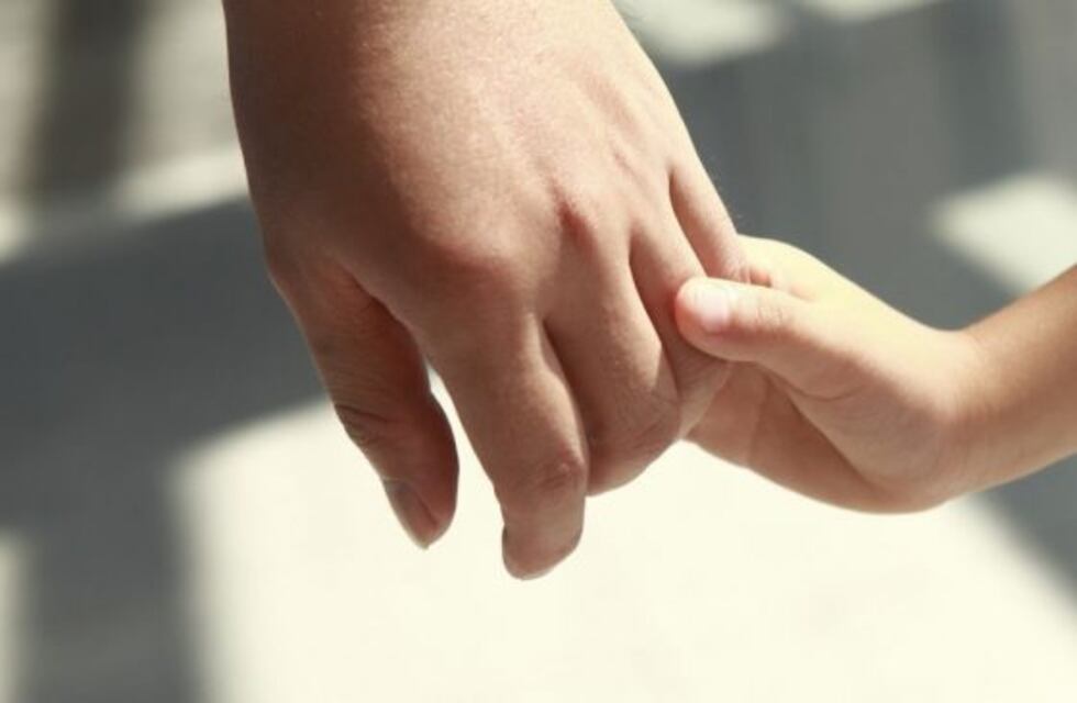 ¿Cómo serán las adopciones en Salta tras las modificaciones en el Reglamento?