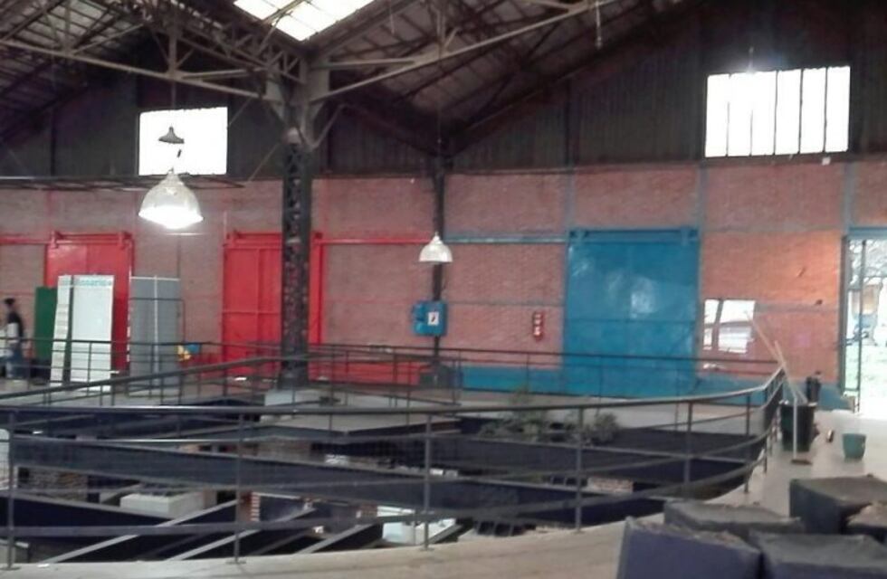 ¡No se suspenden! Garantizan los festejos por el Día de la Primavera a pesar de la lluvia