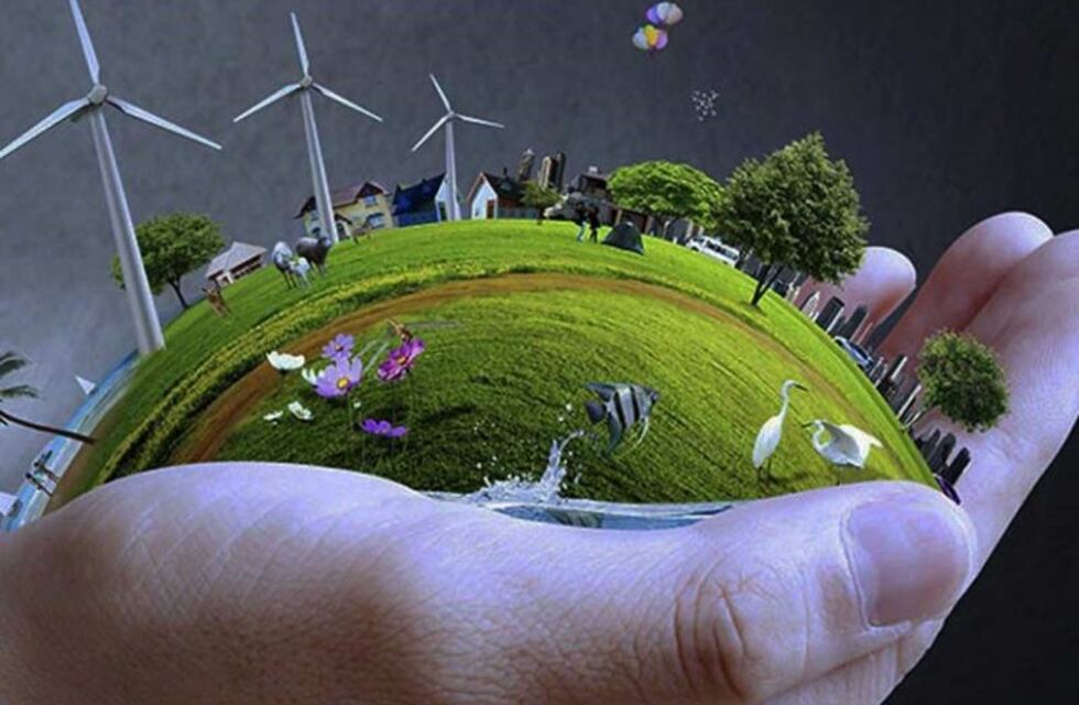 Los niños de Eldorado participarán de una jornada de educación ambiental