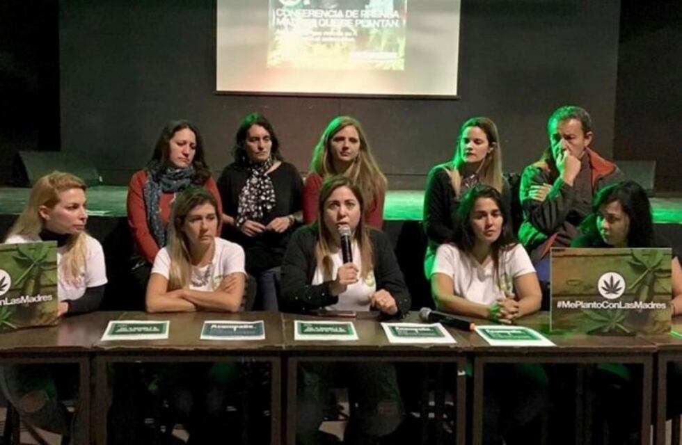 Madres que cultivan cannabis medicinal quieren llegar a la Corte Suprema