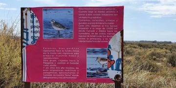 Carteles rotos de Villa del Mar