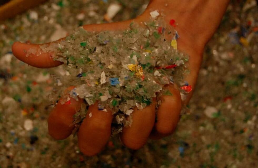 EcoInclusión: la fundación que construye ladrillos ecológicos para viviendas sociales