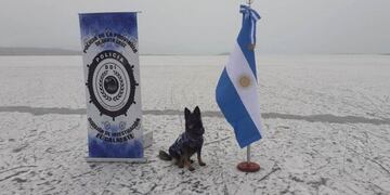 La DDI El Calafate incorporó a Candy, el can detector de estupefacientes