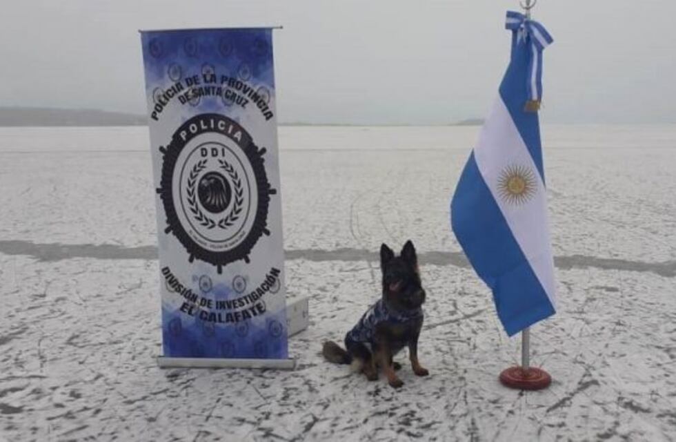 La DDI El Calafate incorporó a Candy, el can detector de estupefacientes