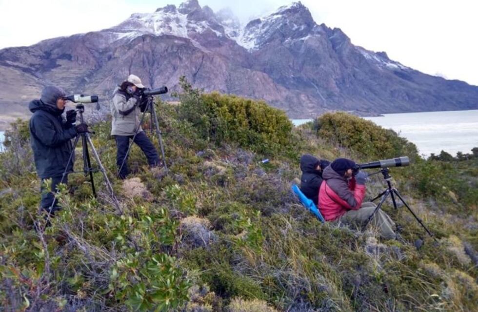 Campaña Huemul 2019 en el Parque Nacional #LosGlaciares